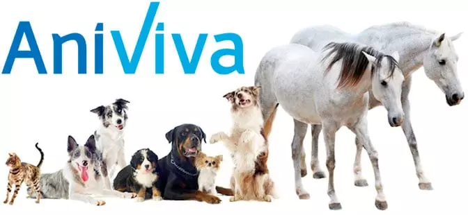En este momento estás viendo AniViva: Piel y pelaje sano para tus mascotas