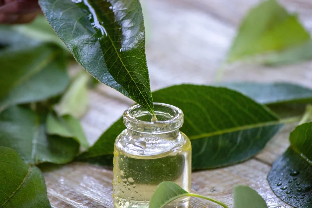 beneficios del aceite del árbol del té para la piel