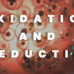 La Importante Diferencia Entre Oxidación Y Reducción