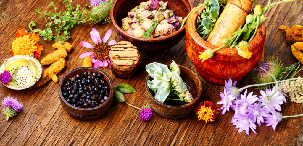 11 Powerful Herbs with Healing Properties